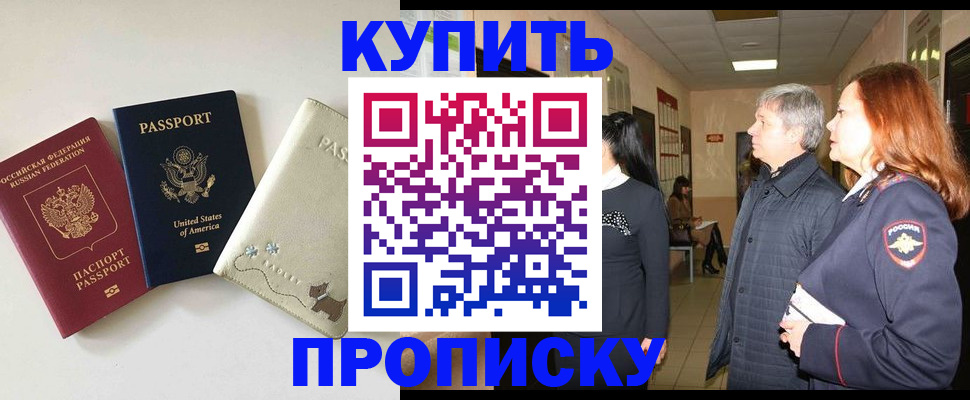 где прописаться в Сольцах